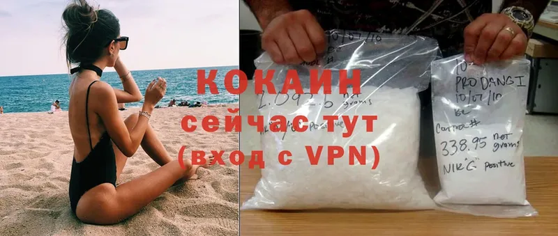 Кокаин Fish Scale  где купить наркоту  Алупка 